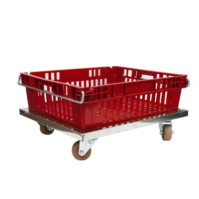 24 X 20 X 7″Plastic Chillpac Container