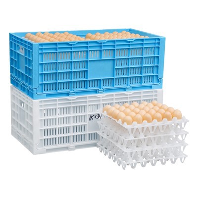 Plastic Foldable Egg Transport Crate