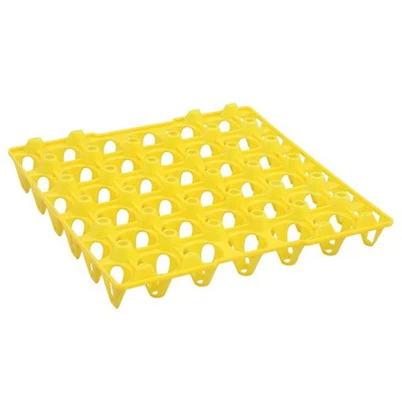 Plastic Transport Egg Tray 30 Eggs
