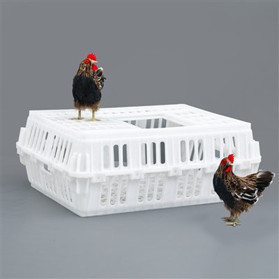 750*550*270 mm Plastic Chicken Crate