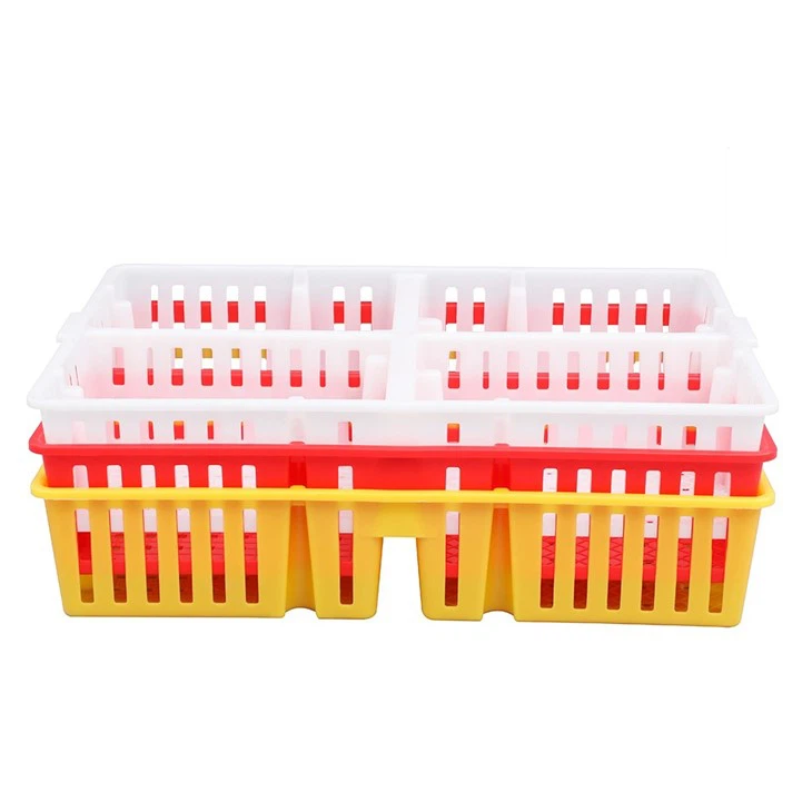 Plastic Chick Box 4 Compartments