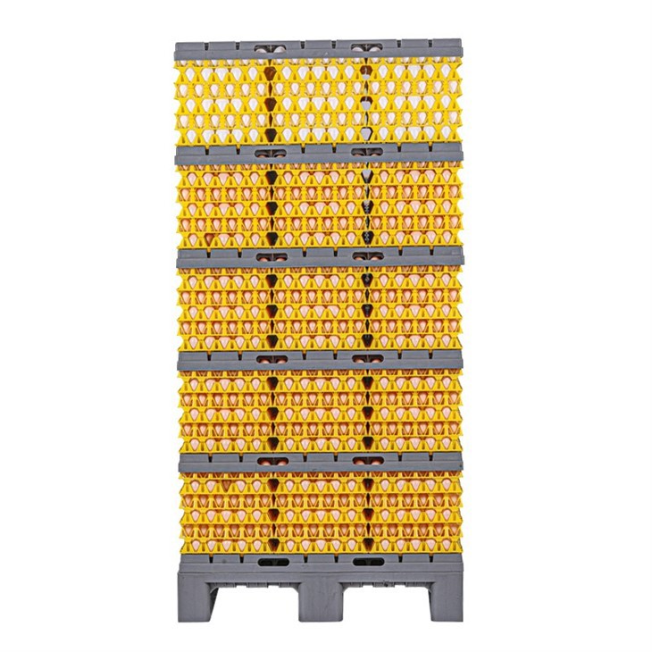 Plastic Egg Tray Divider