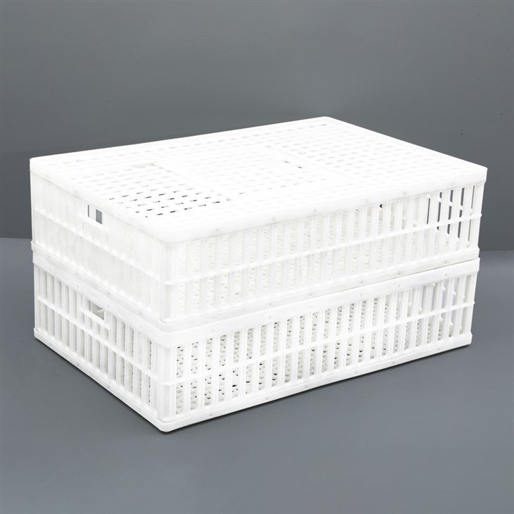 Plastic Live Bird Shipping Crate
