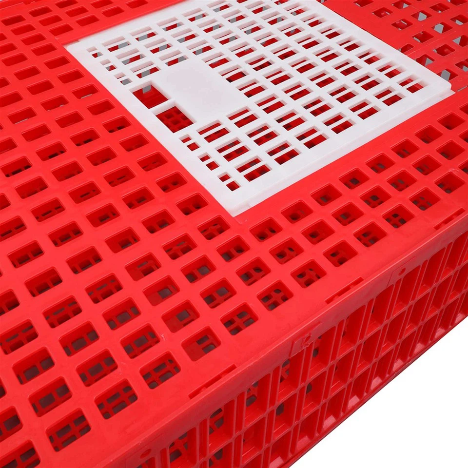 Plastic Transport Crate For Live Poultry