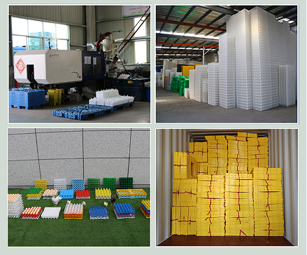 product-439-364