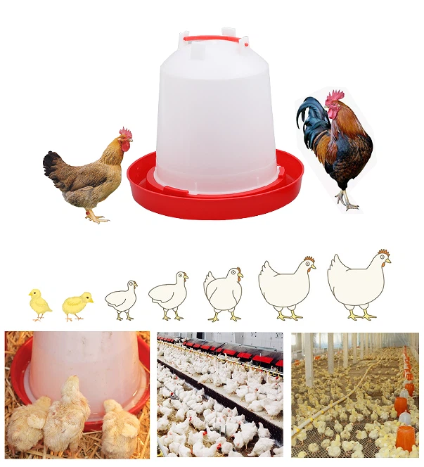 product-603-664 product-603-664