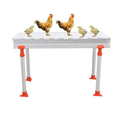 Chicken And Poultry Plastic Slat Floor 1200*500*40mm
