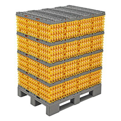 Egg Pallet System