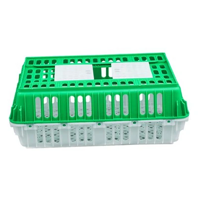 Live Bird Plastic Crate