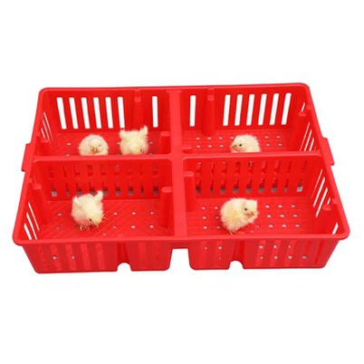 Plastic Chick Box 4 Compartments