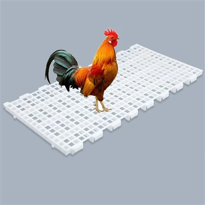 Plastic Chicken Coop Flooring