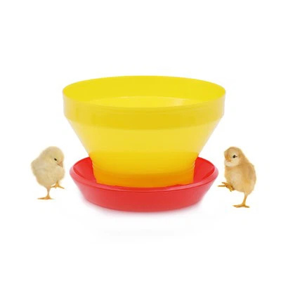 Plastic Day Old Chicks Feeder