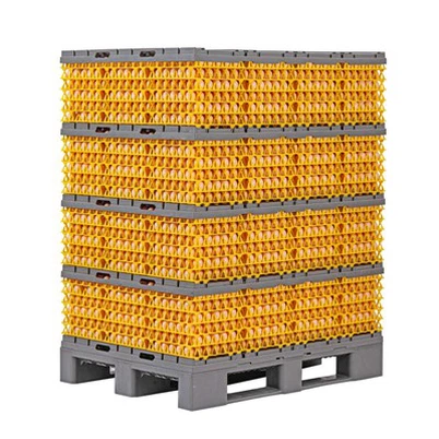 Egg Flat Pallet System