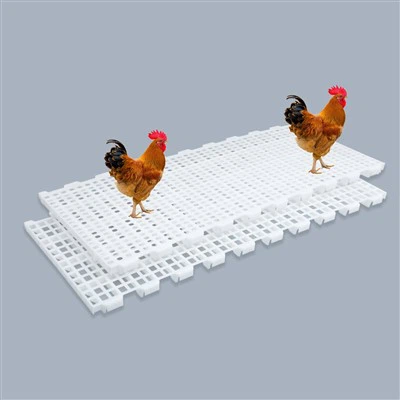 Plastic Poultry Slat Floor