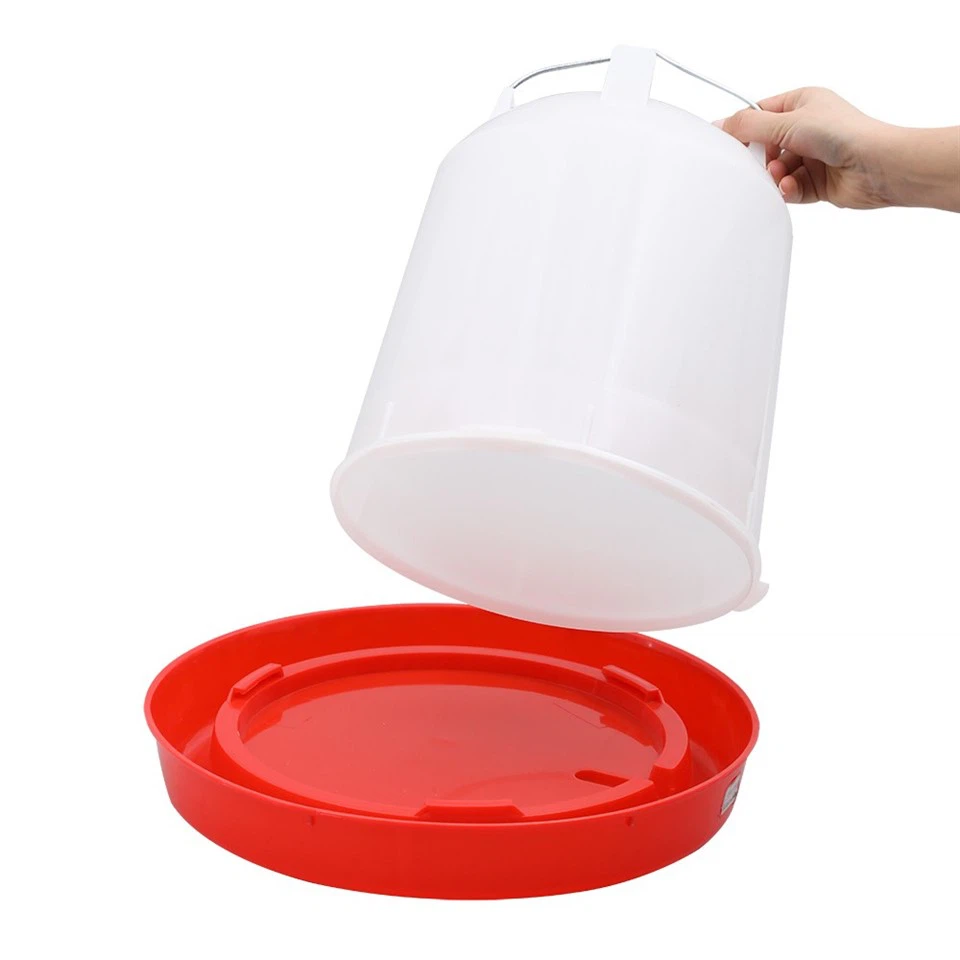 Water Feeding Drinker
